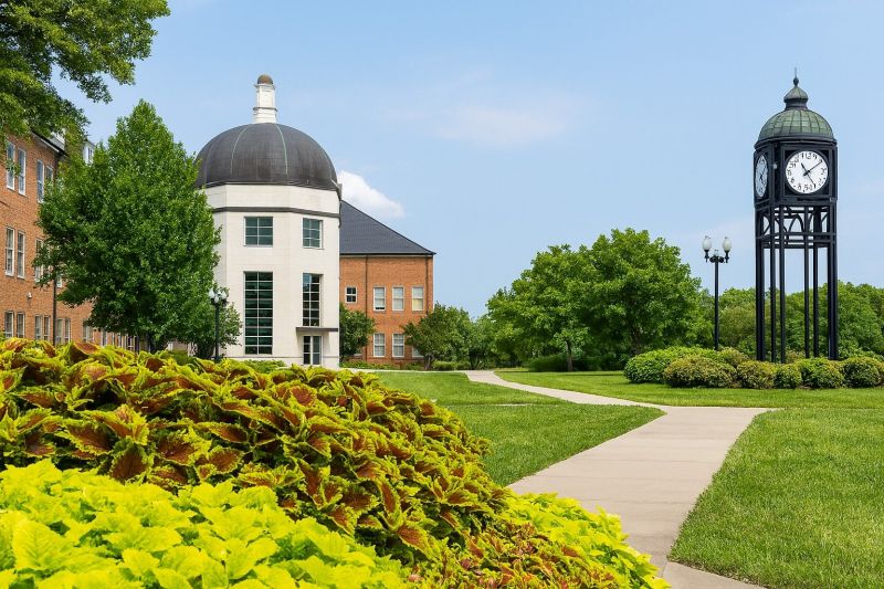 Best Foundation Repair pros in O Fallon, MO